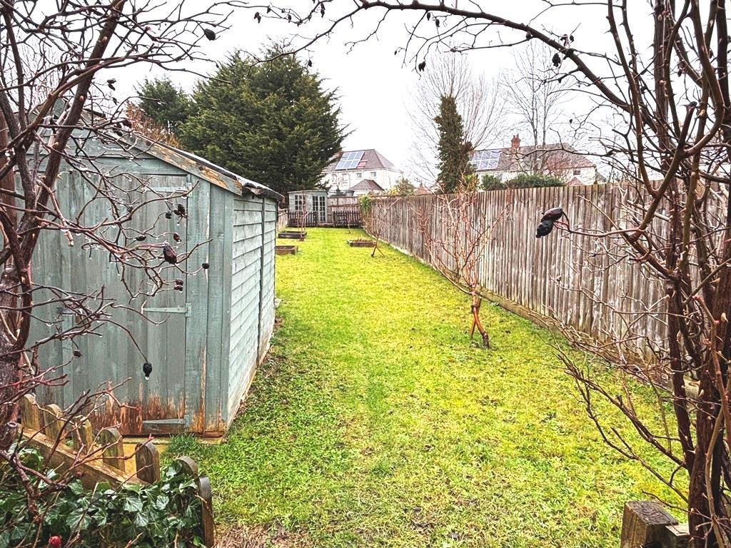 Garden (2).JPG