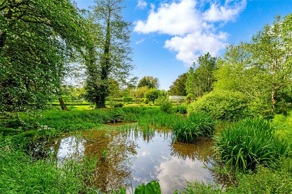 Pond