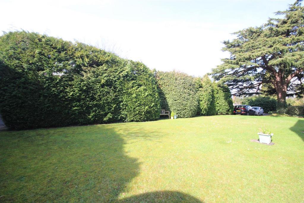 Communal gardens 2.jpg