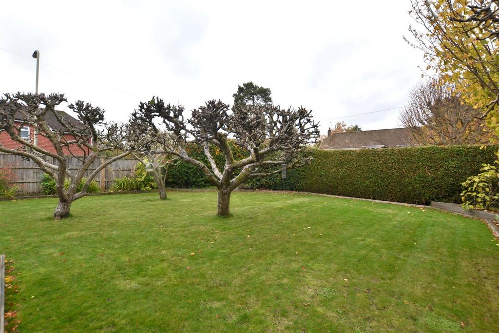 Garden 1.JPG