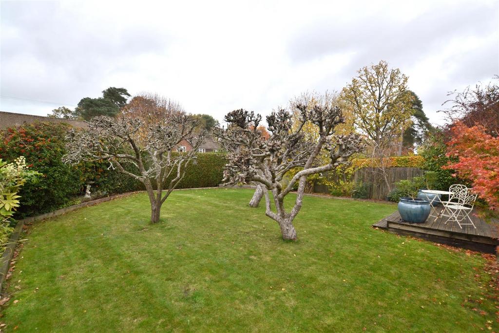 Garden 3.JPG