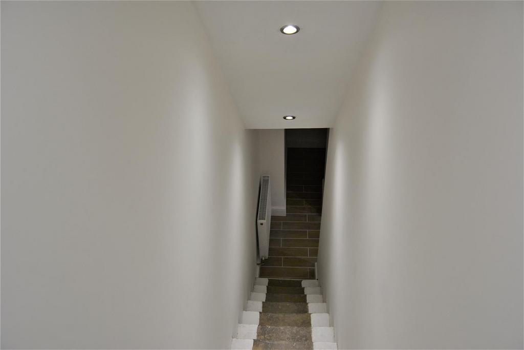 Basement/Kitchen