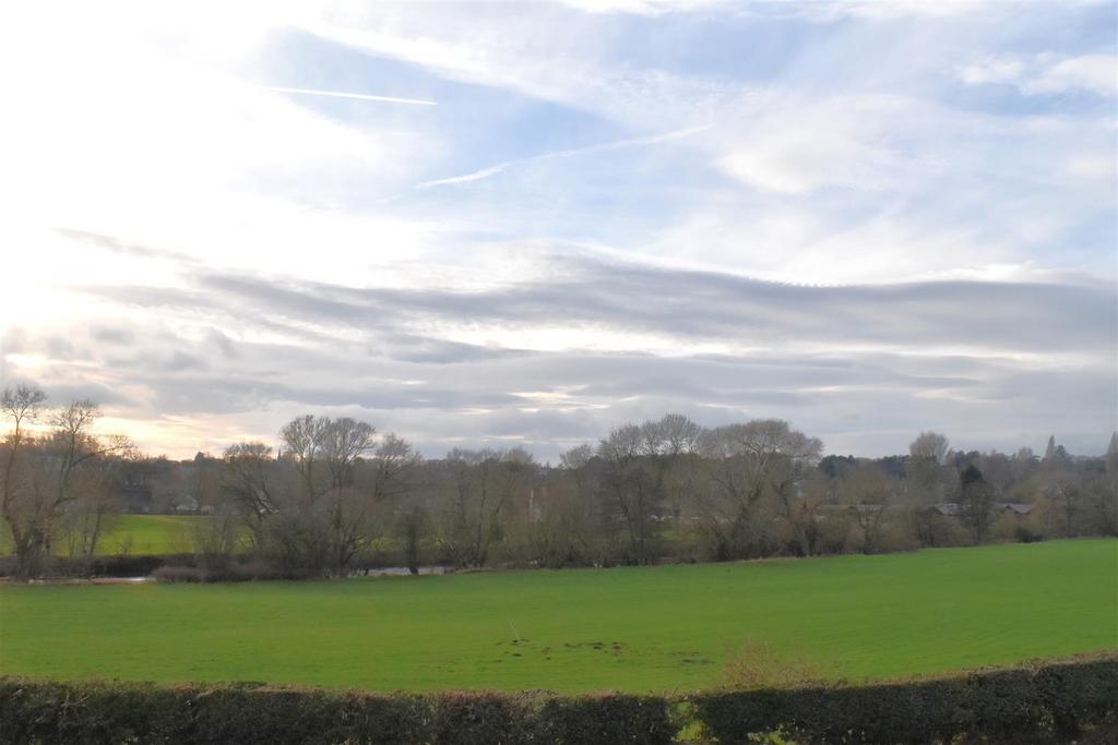 Dsc 2300.jpg
