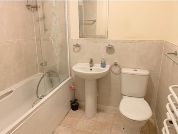 Picture5