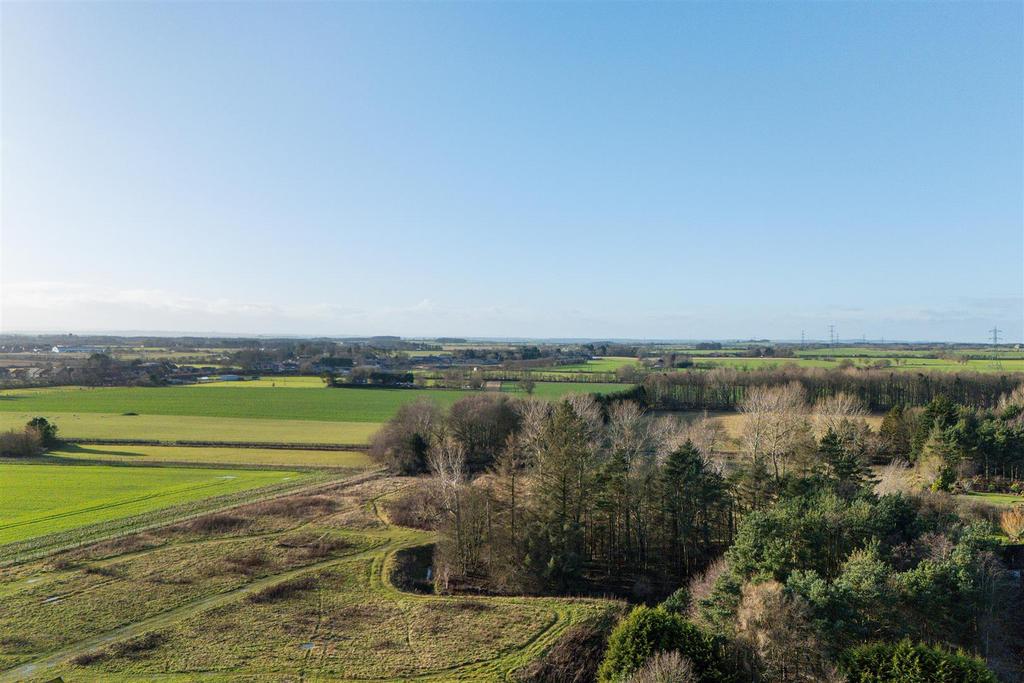 DJI 20260112111435 0229 D.jpg