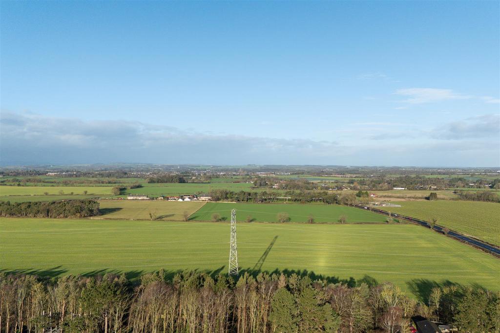 DJI 20260112111444 0230 D.jpg