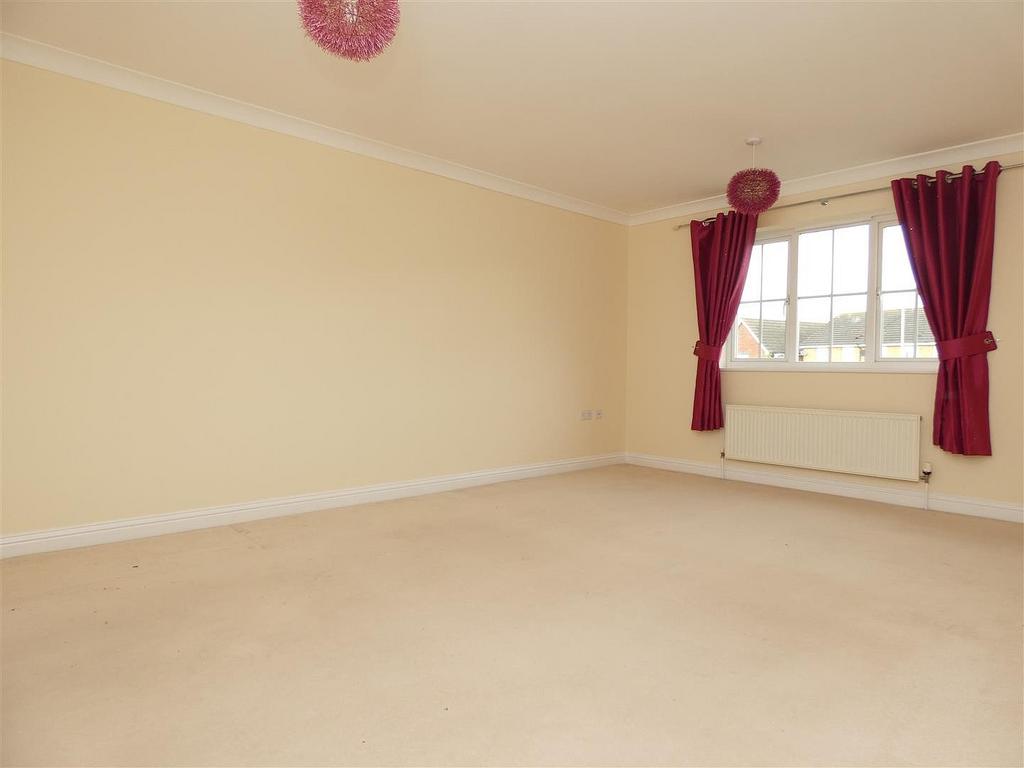 Picture 5