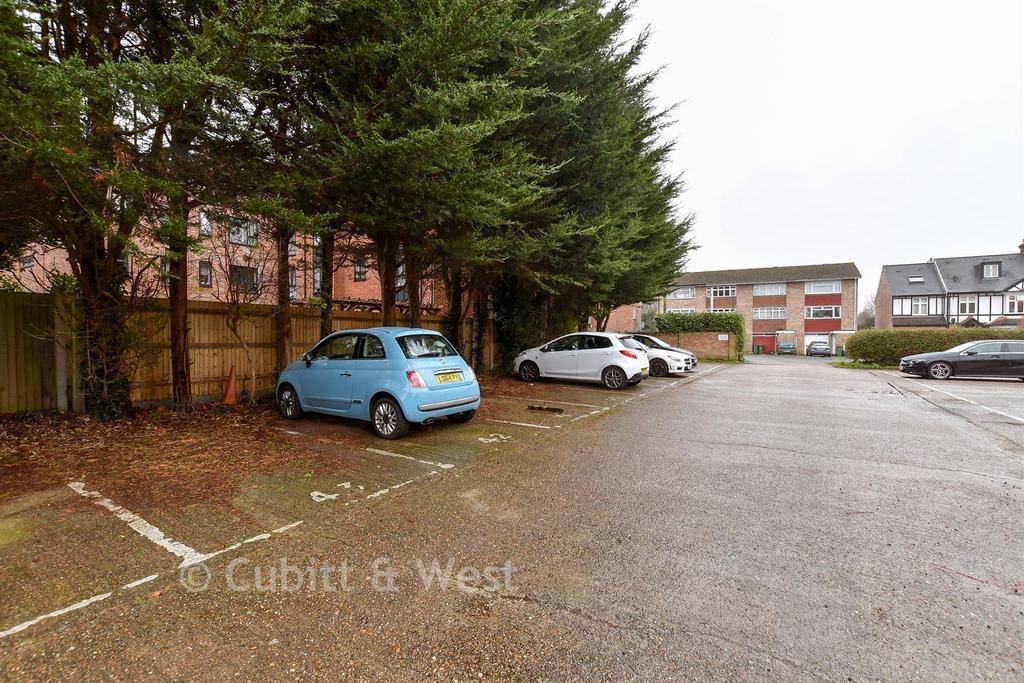 Driveway/Parking