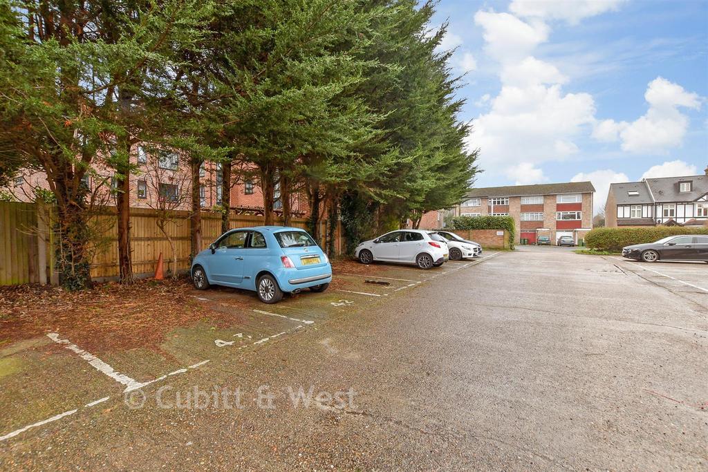 Driveway/Parking