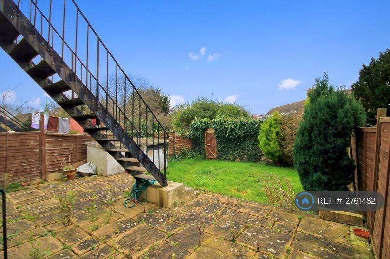 Back Garden