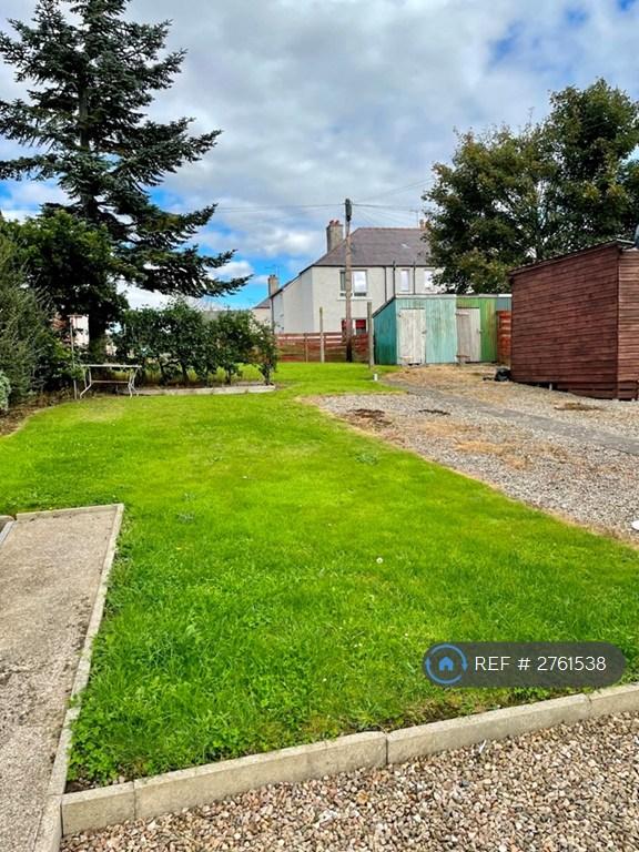 Back Garden