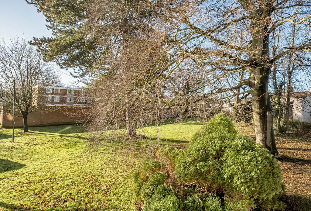 Communal Gardens