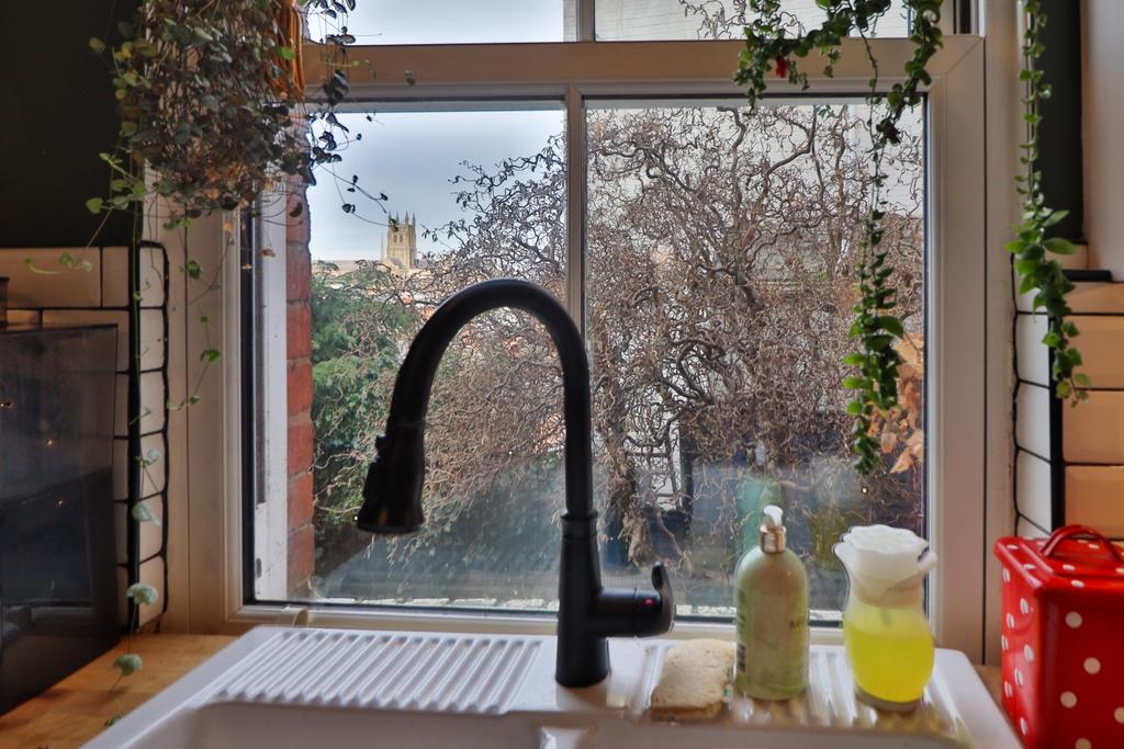 Cathedral view from kitchen sink