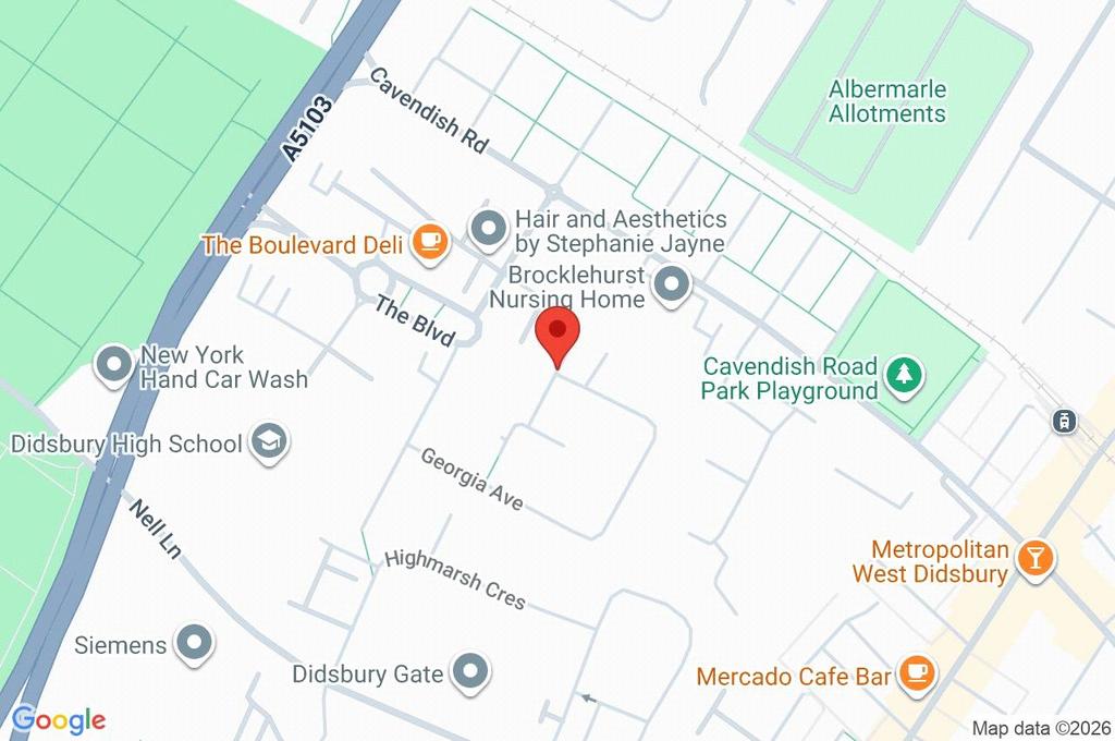 Google Maps Image