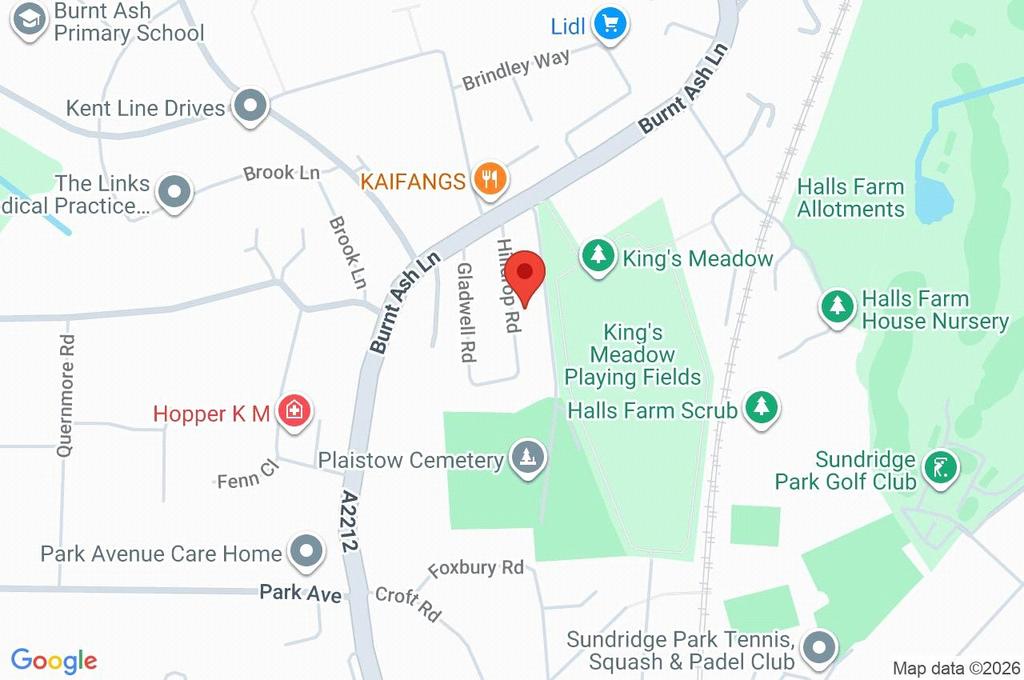 Google Maps Image