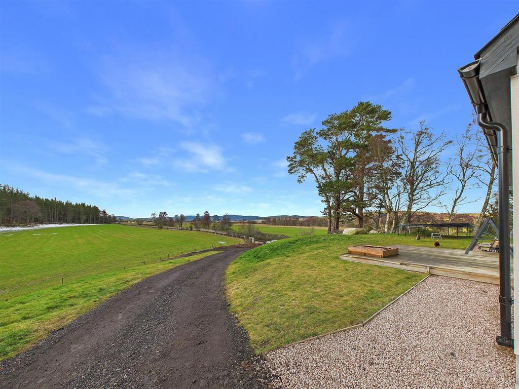 Front Garden & Driveway