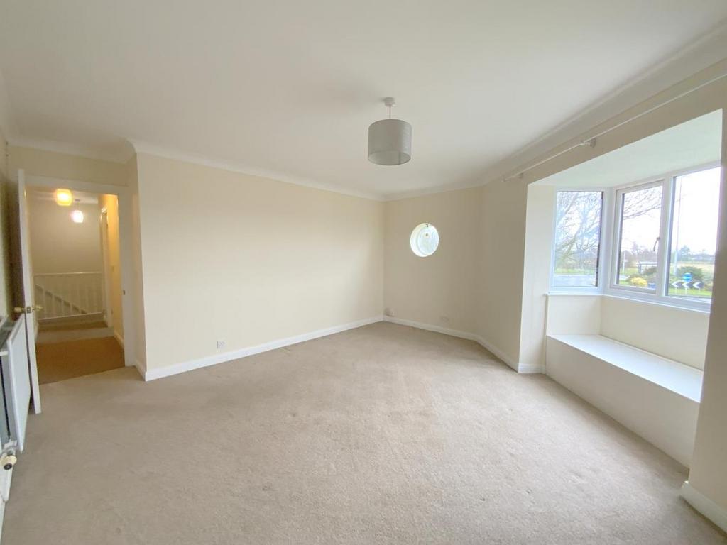 Resized IMG 7984.jpg