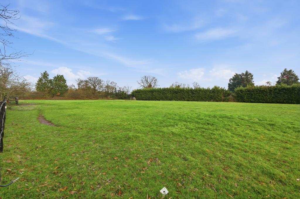 Grounds