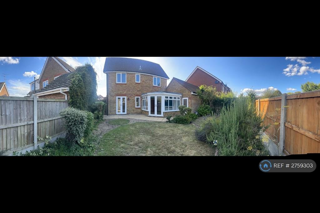 Back Garden