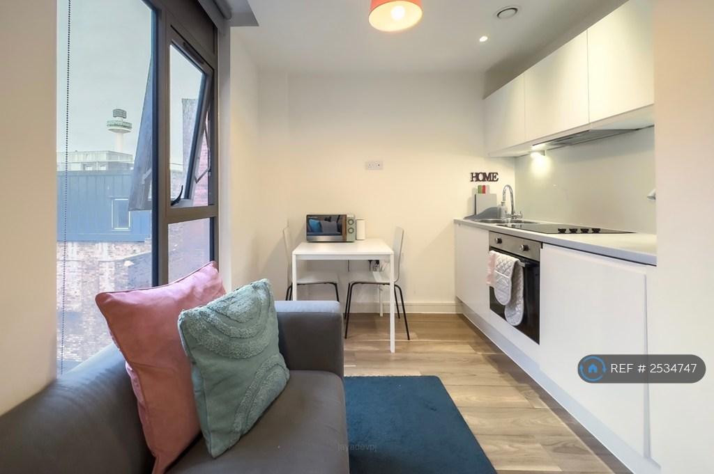 Living Area And Kitchen