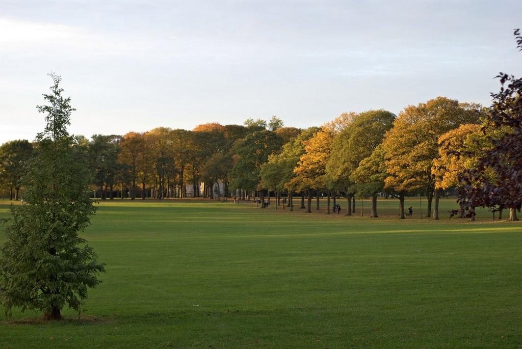 Nearby: Victoria Park