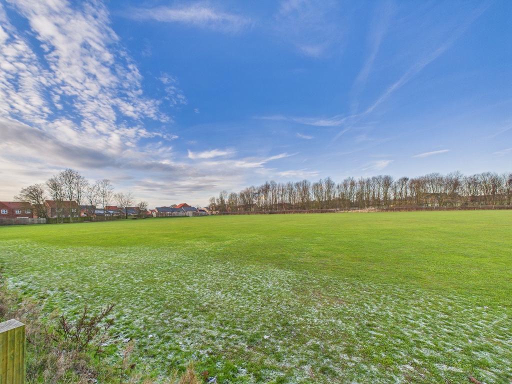 Views Over Field