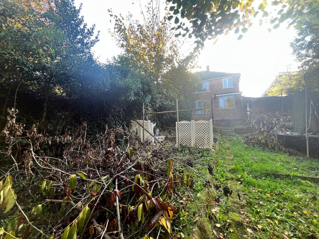 Media image 14