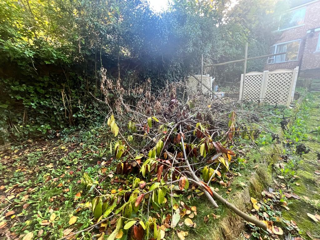 Media image 15