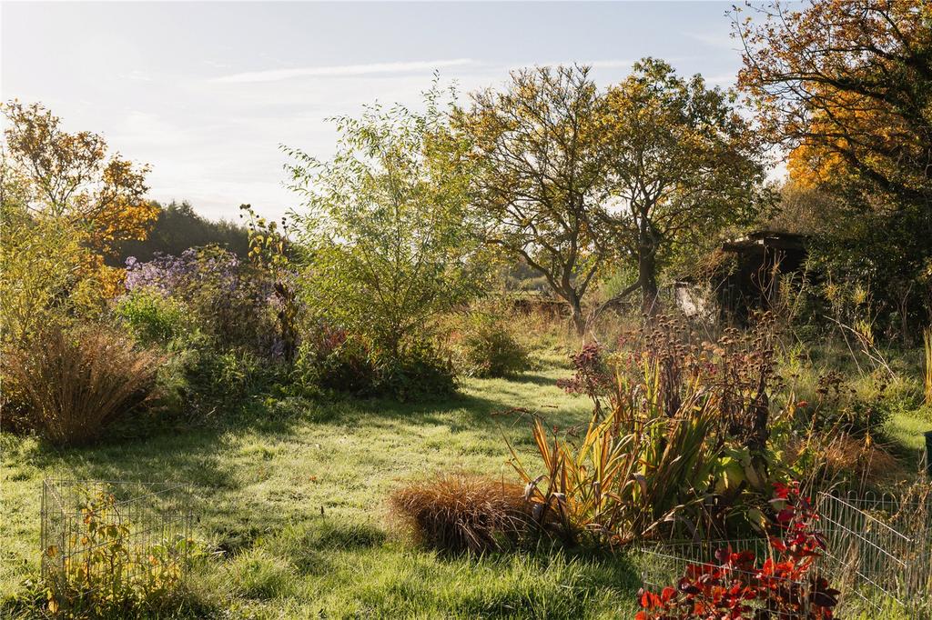 Grounds