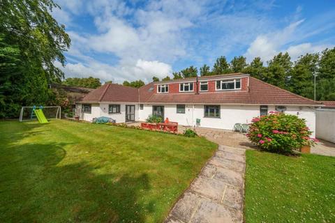 5 bedroom bungalow to rent, London Road, Bagshot GU19