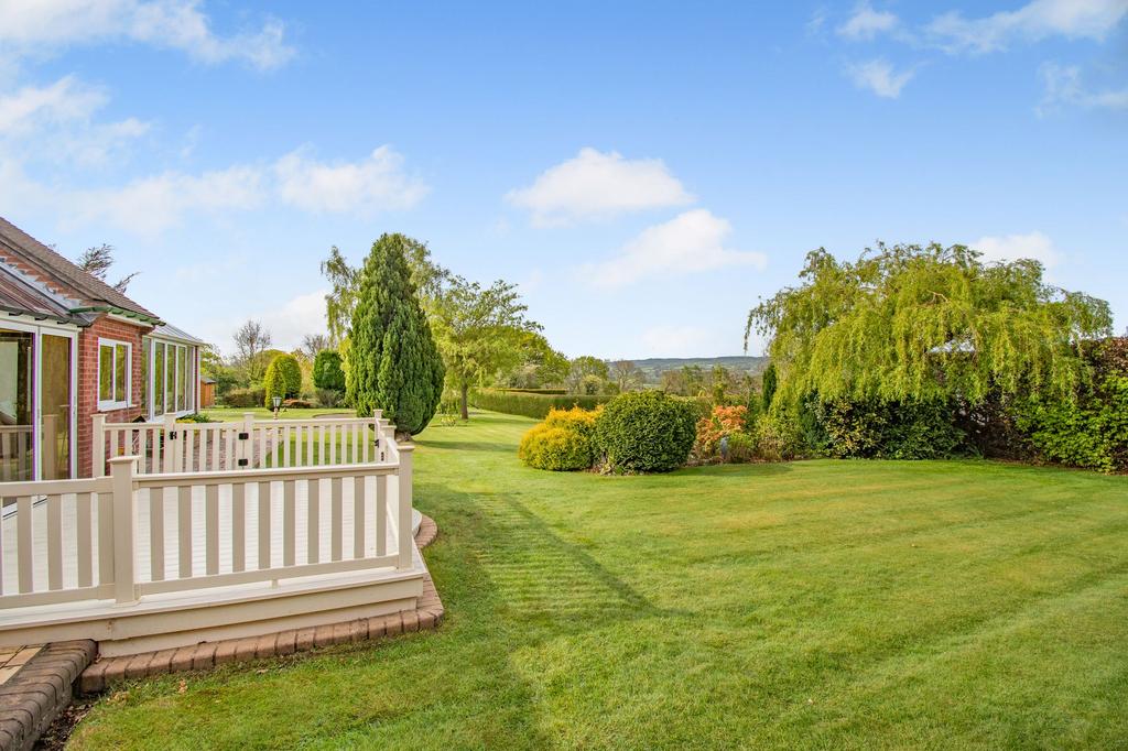 Garden to rear