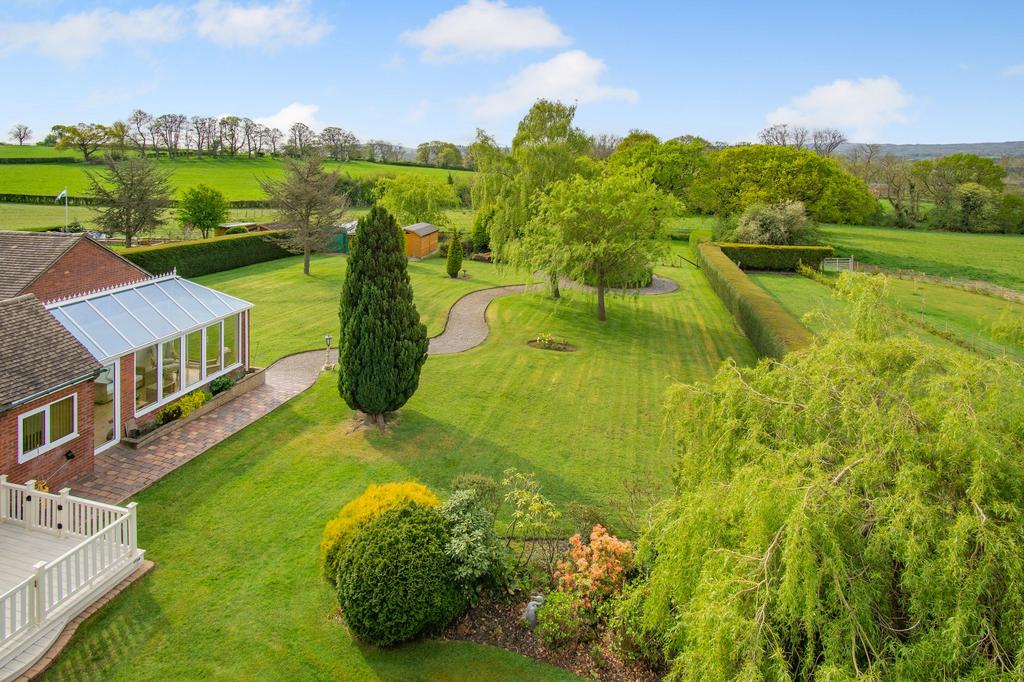 Garden to rear