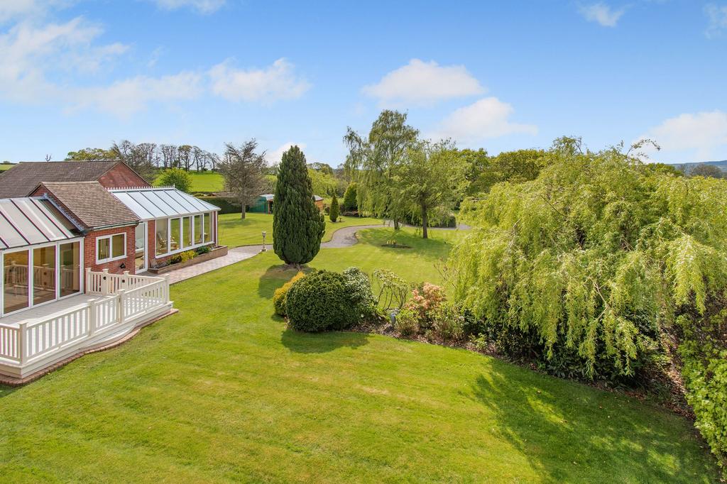 Garden to rear
