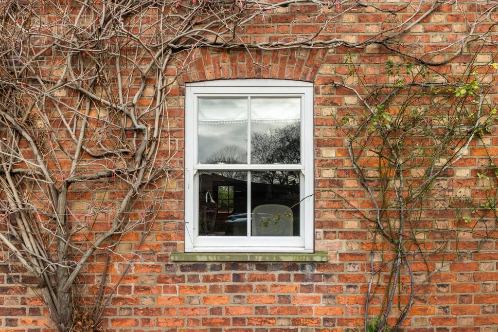 Window