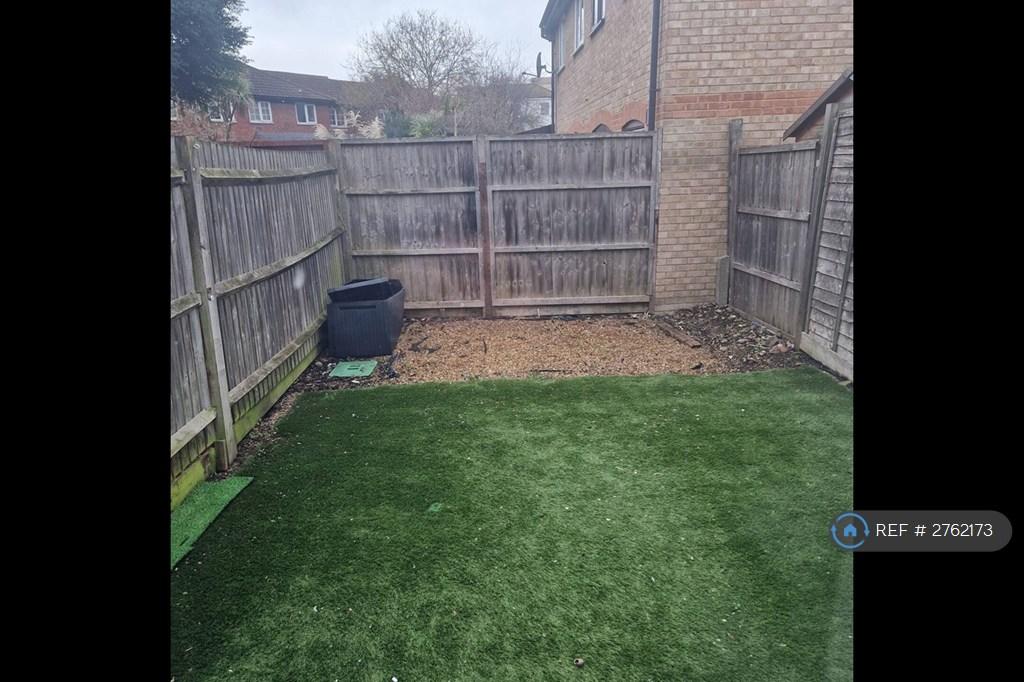 Back Garden