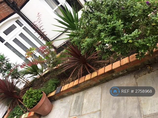 Patio Rear