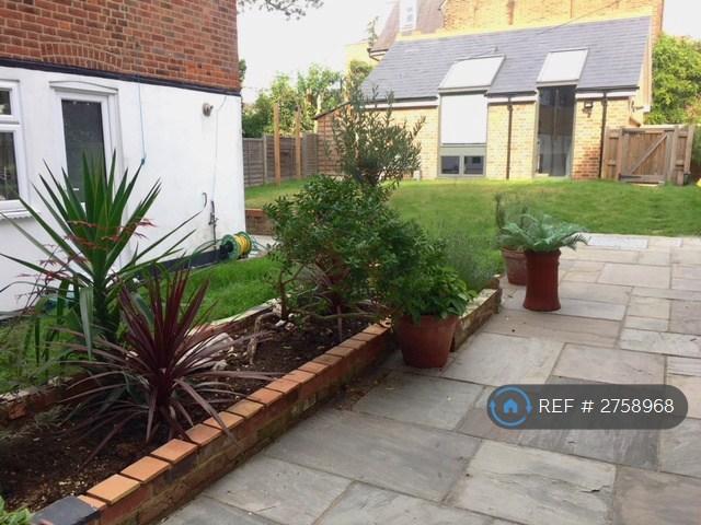 Rear Patio