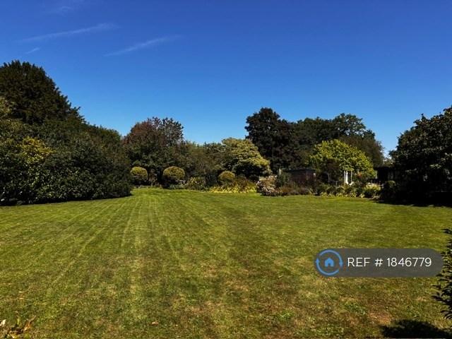 Front Garden 1