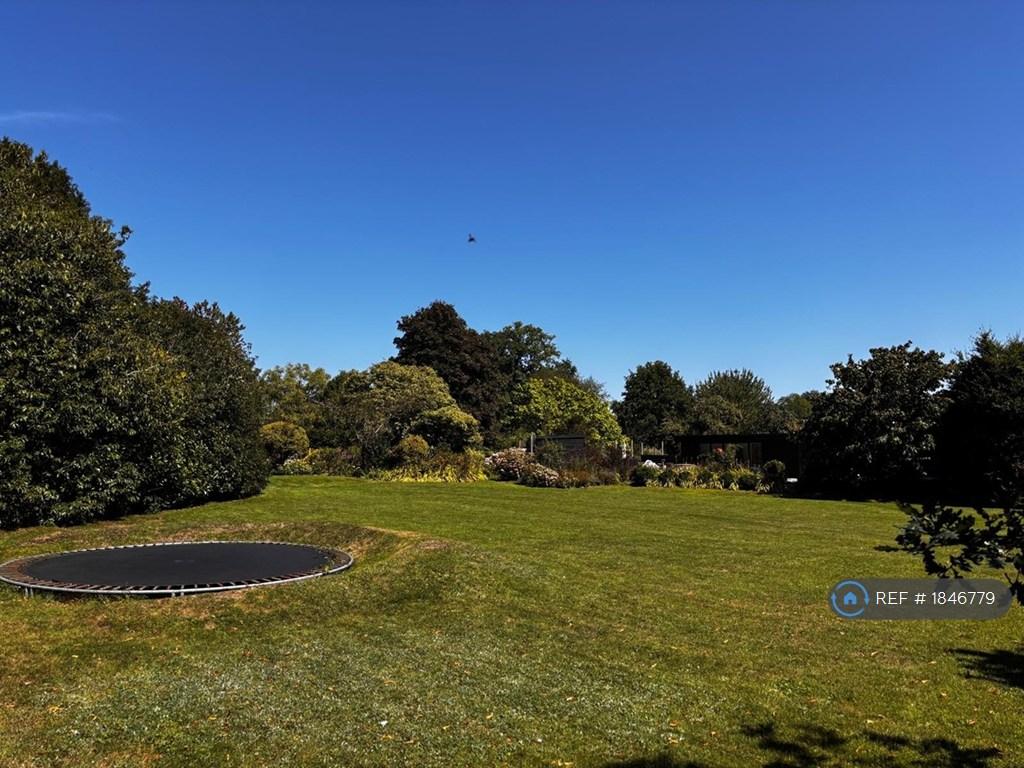 Front Garden 2