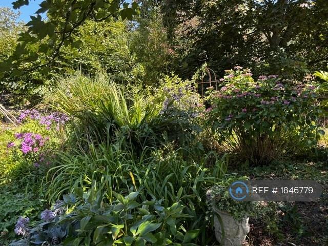 Front Garden 3