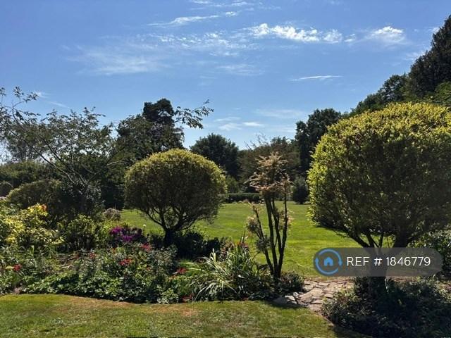 Front Garden 5