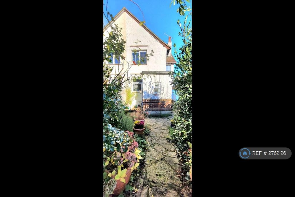 Back Garden