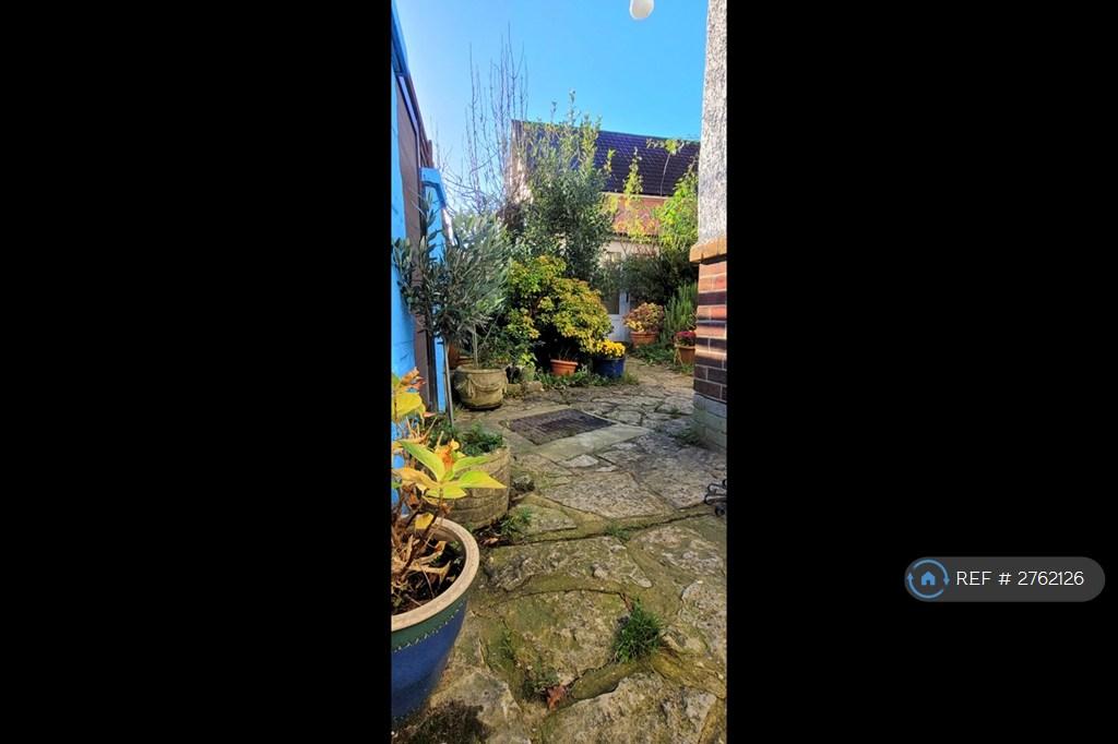 Back Garden