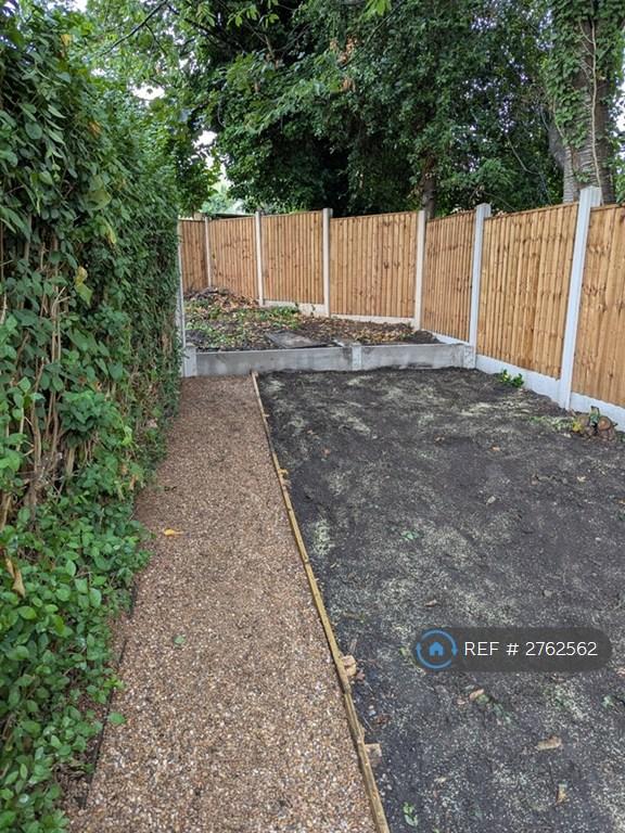 Back Garden 2