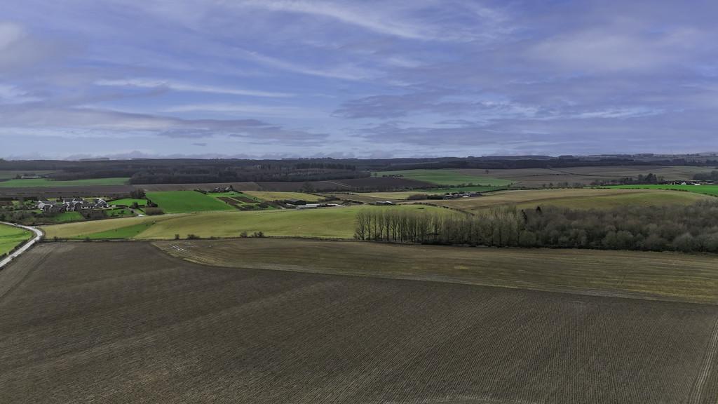 DJI 20260115120310 0472 D-Edit