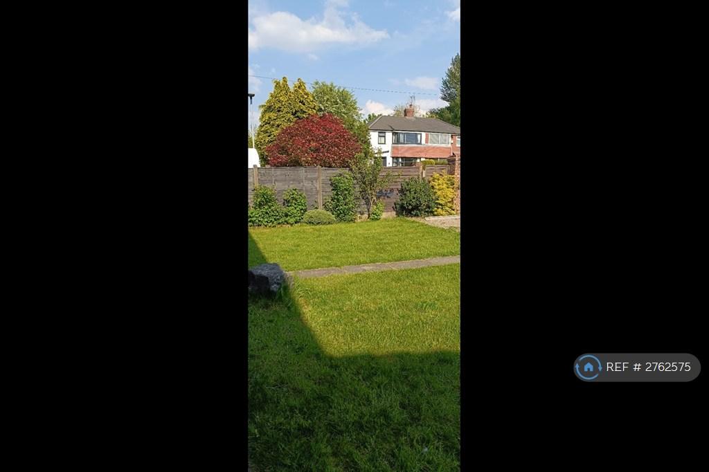 Back Garden