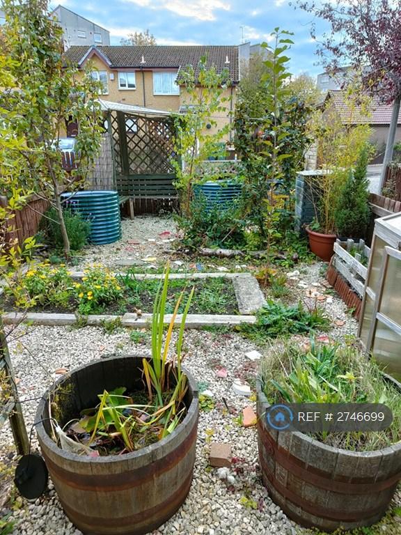 Front Garden Early Autumn