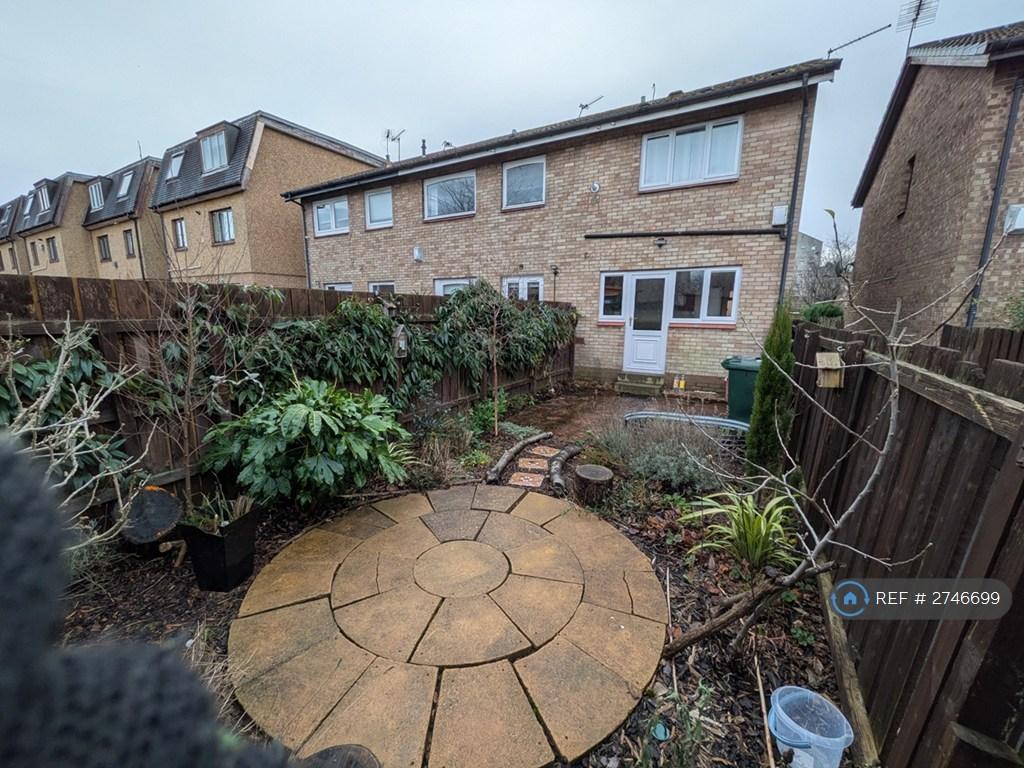 Back Garden