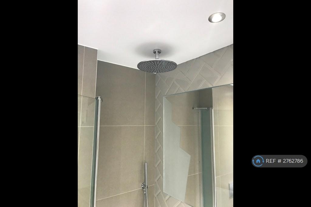 Rain Shower