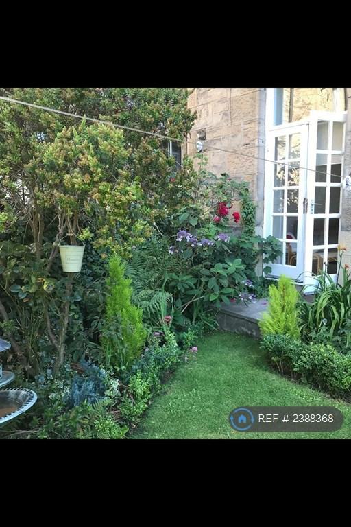 Back Garden